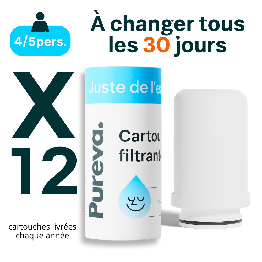 Pureva One Cartridges (3 months)