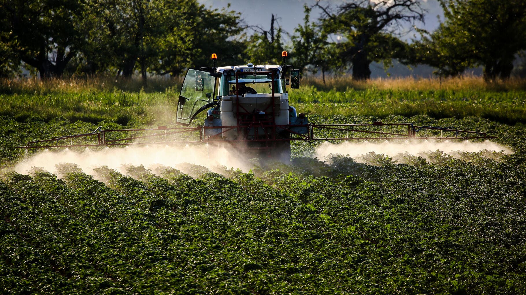 glyphosate Martinique Guadeloupe