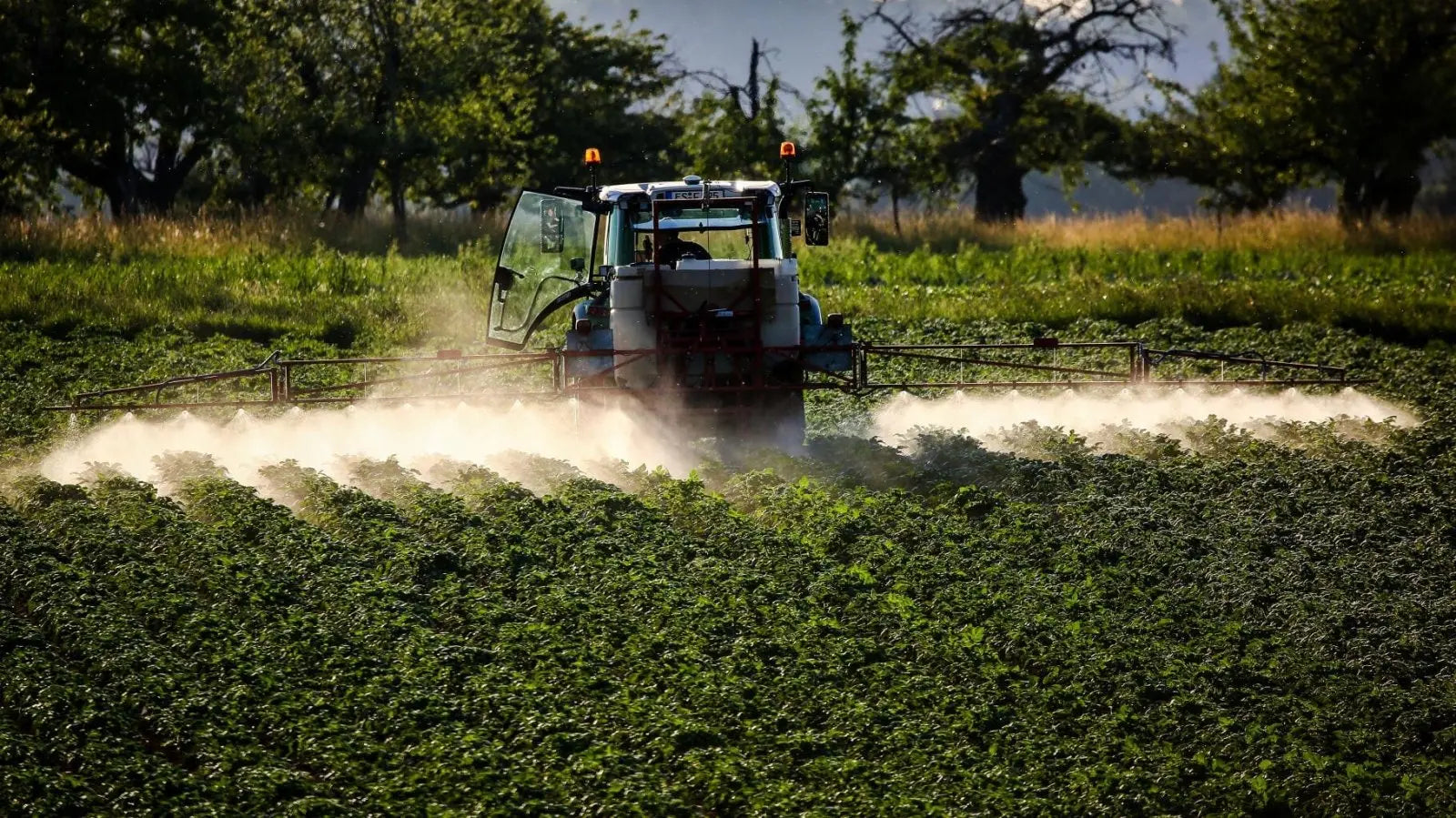 Glyphosate en Martinique et Guadeloupe : Contexte, risques et solution. - Pureva