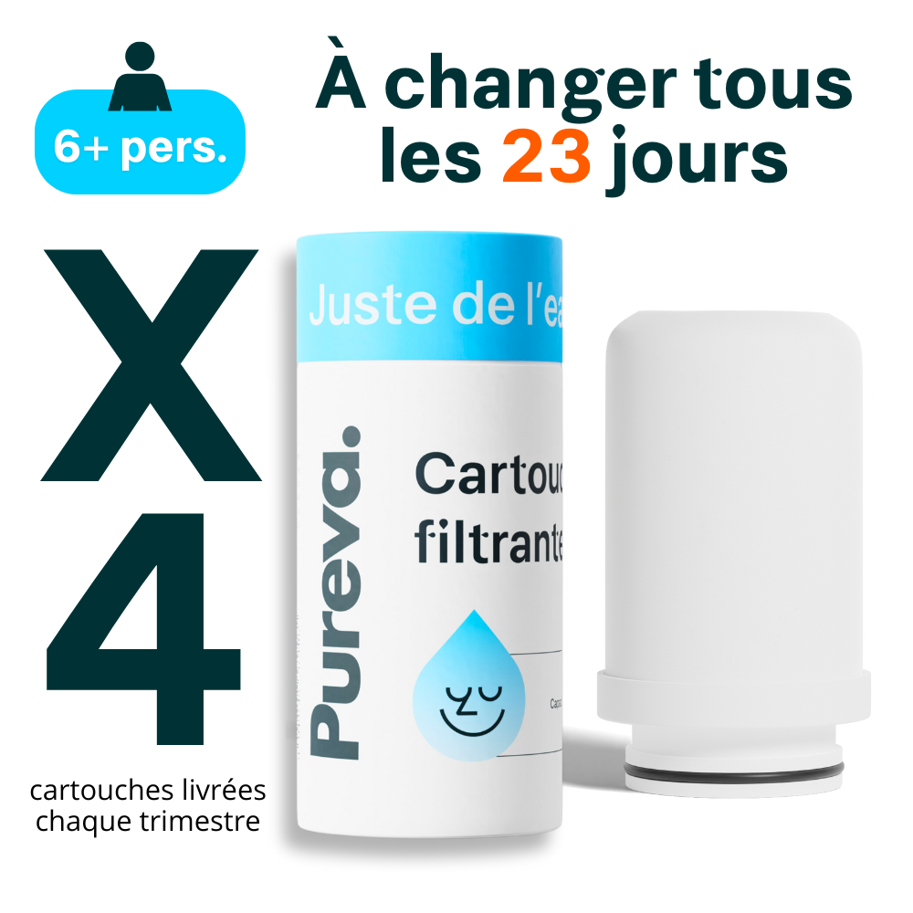 Cartouches Pureva One