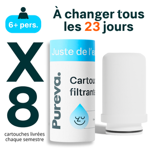 Cartouches Pureva One