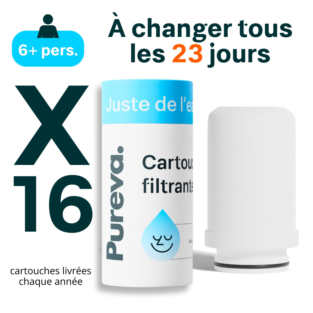 Cartouches Pureva One